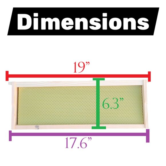 Beekeeping Equipment 5 Medium Frames + 5 Wax Foundation ASSEMBLED For Super Boxe - Picture 2 of 6